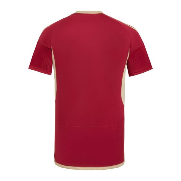 VENEZUELA I 2024 MEN'S T-SHIRT 